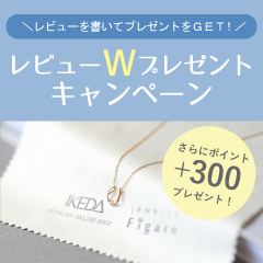 レビューWプレゼントキャンペーン