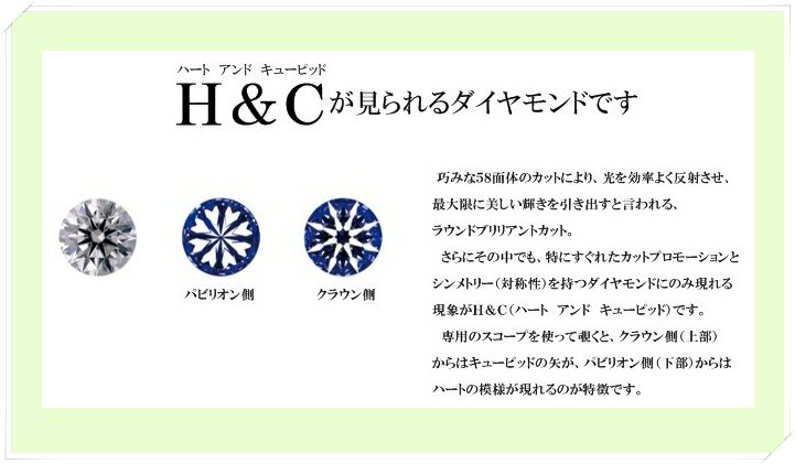 H&C鑑別書付き プラチナ ダイヤモンド リング PT900