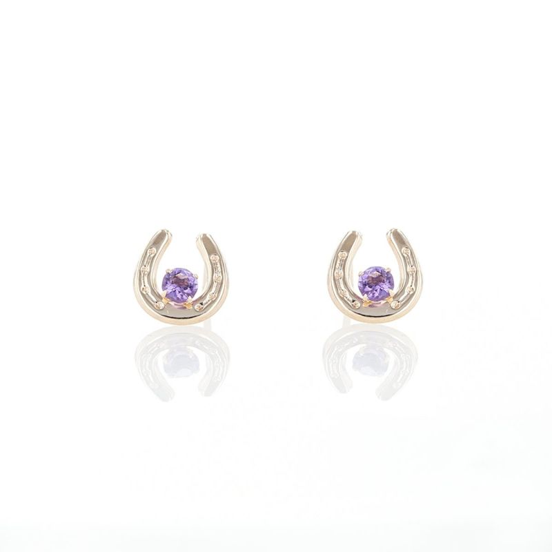 K10 YG ホースシュー 馬蹄 アメジスト ピアス 10k 2月 誕生石 イエローゴールド レディース 彼女 妻 プレゼント ラッキーモチーフ