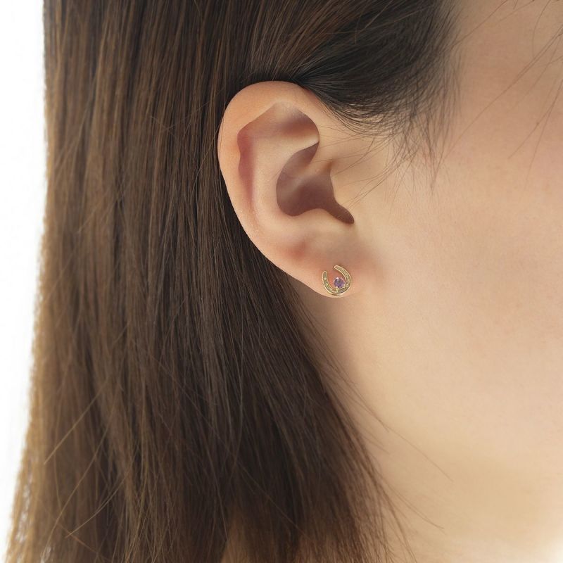 K10 YG ホースシュー 馬蹄 アメジスト ピアス 10k 2月 誕生石 イエローゴールド レディース 彼女 妻 プレゼント ラッキーモチーフ