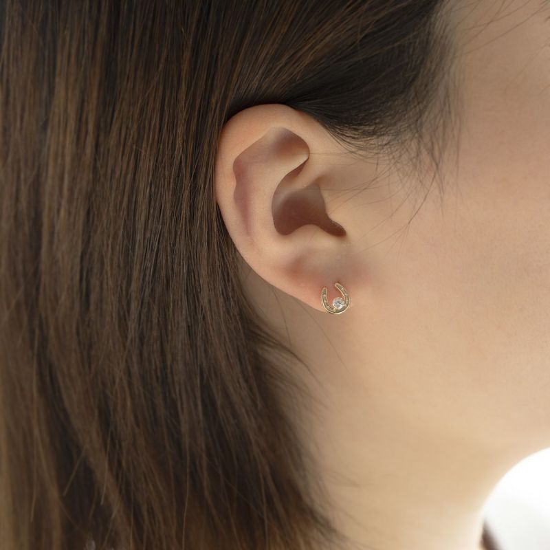 K10 YG ホースシュー 馬蹄 キュービックジルコニア ピアス 10k 誕生日プレゼント ギフト イエローゴールド レディース 彼女 妻 プレゼント ラッキーモチーフ